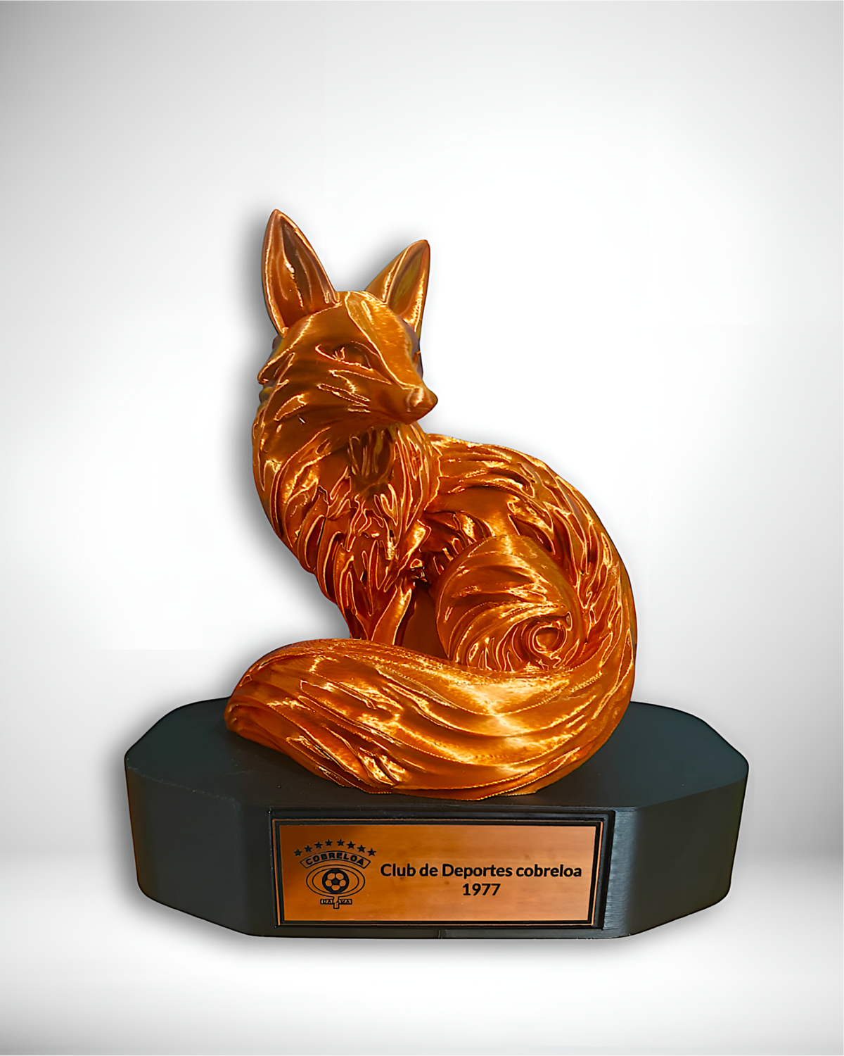 ZORRO BASE Y PLACA Cobreloa SADP