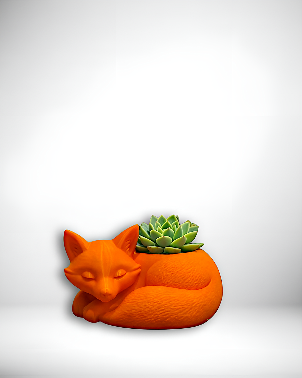 ZORRO MACETERO Cobreloa SADP