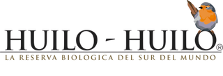 Huilo Huilo