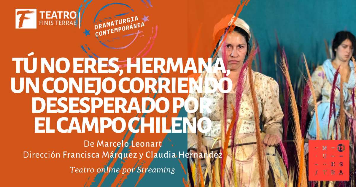 TÚ NO ERES, HERMANA, UN CONEJO CORRIENDO DESESPERADO POR EL CAMPO CHILENO