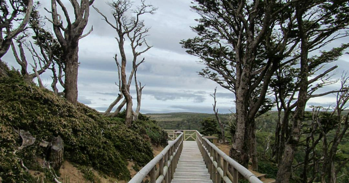 RESERVA NACIONAL MAGALLANES