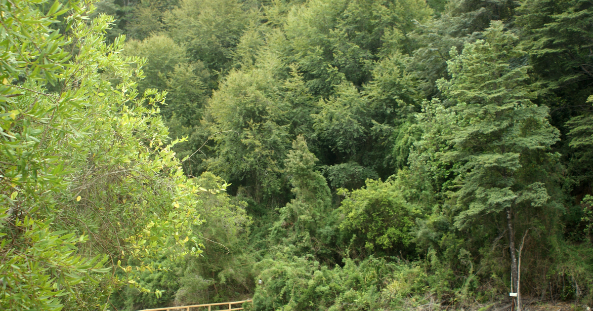 RESERVA NACIONAL LOS RUILES
