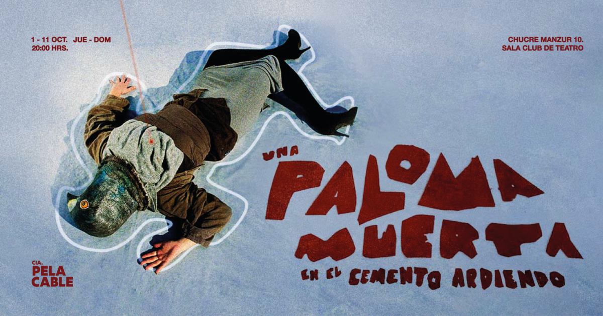  Una paloma muerta en el cemento ardiendo