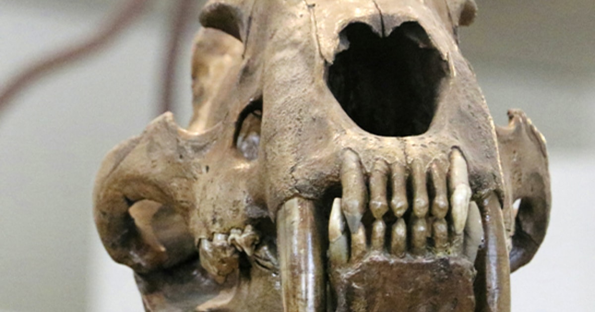 La odisea de los dinosaurios