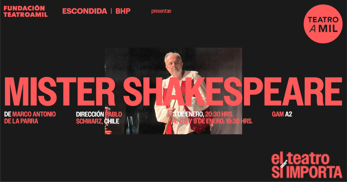 MISTER SHAKESPEARE