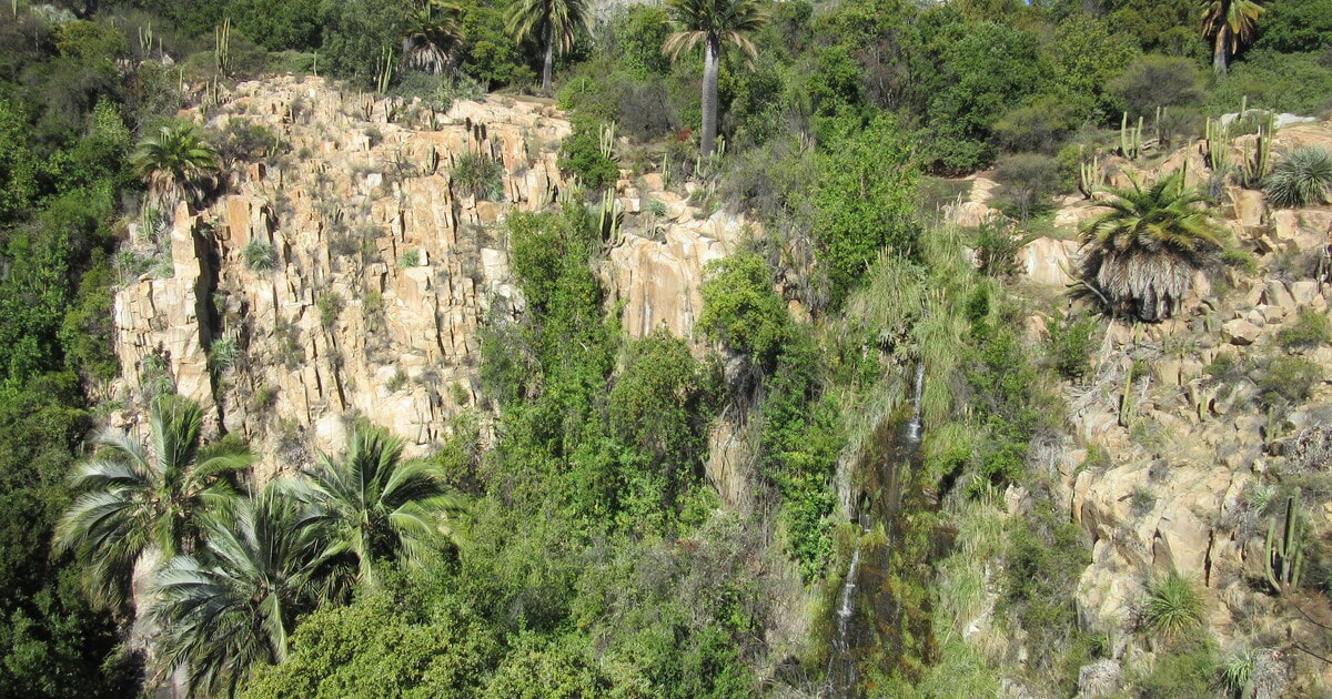Parque Nacional La Campana Sector Palmas de Ocoa