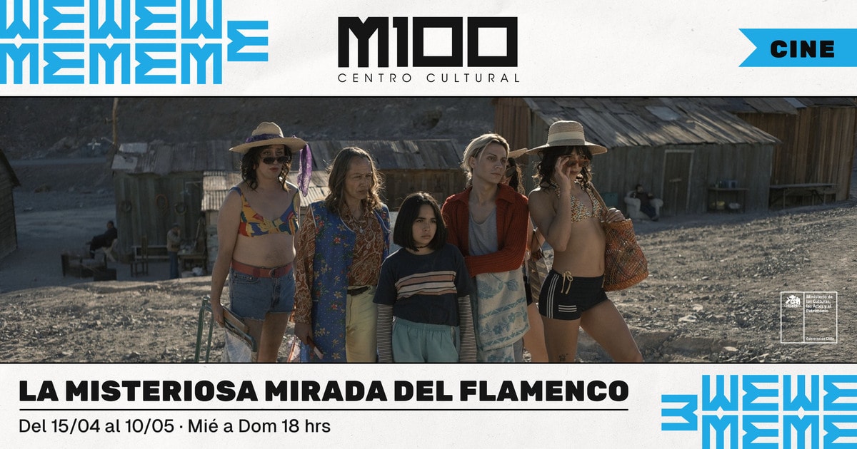 La Misteriosa Mirada del Flamenco