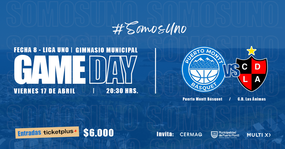  PUERTO MONTT BASQUET VS LAS ANIMAS LNB 2026