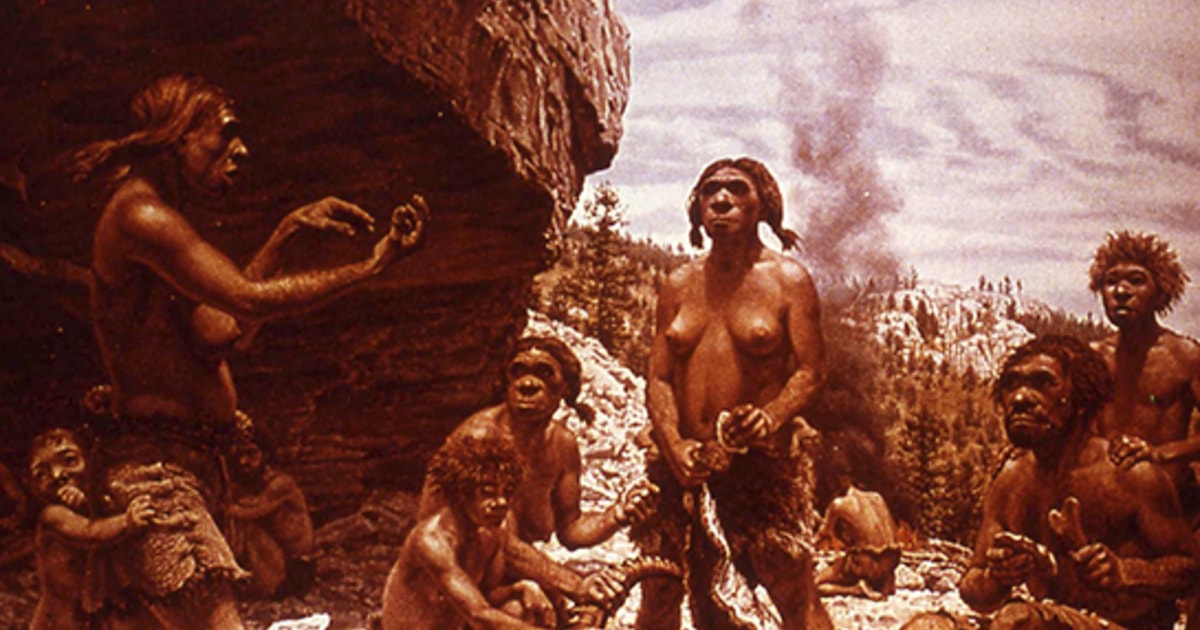 De los neandertales al COVID-19. La evolución del genoma humano