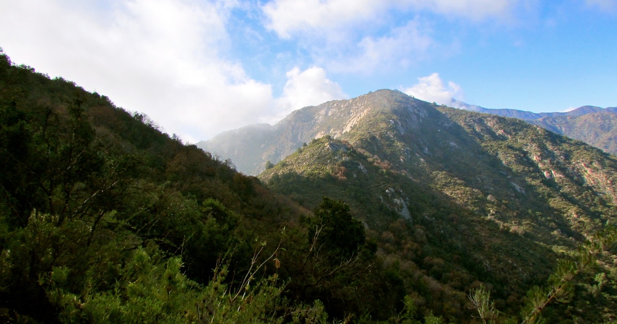 Parque Nacional La Campana Sector Cajón Grande
