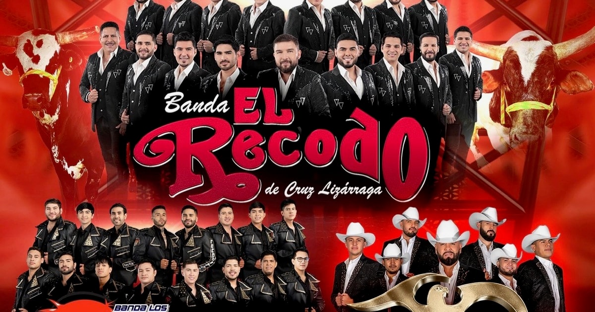 Banda El Recodo-Banda Los Recoditos-La Zenda Nortena-Los Reales del Rio-Los Toros Transformers del Rancho Barriga-Fleamasters Fleamarket