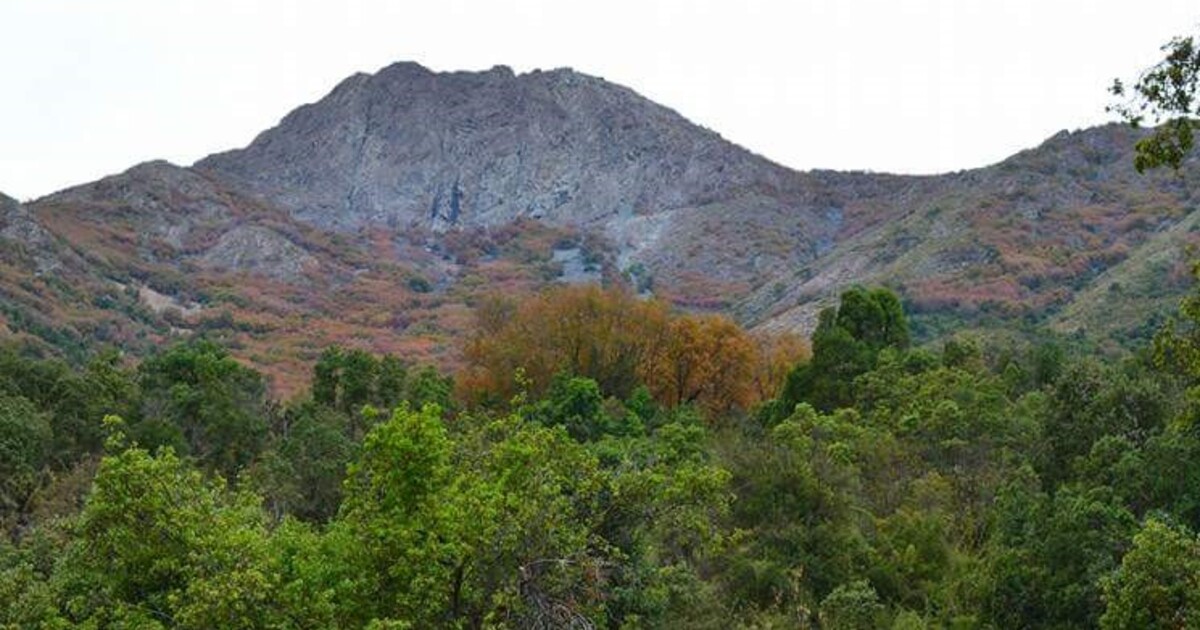 Parque Nacional La Campana Sector Granizo