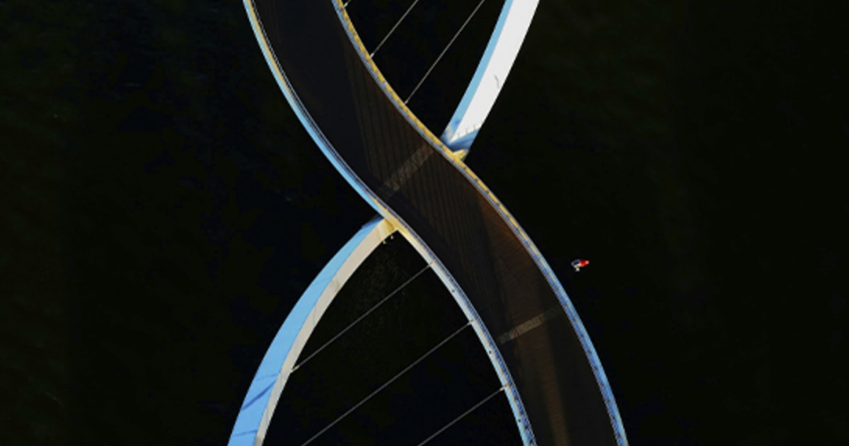 El enigma de la herencia ¿Por qué nos parecemos a nuestros padres?