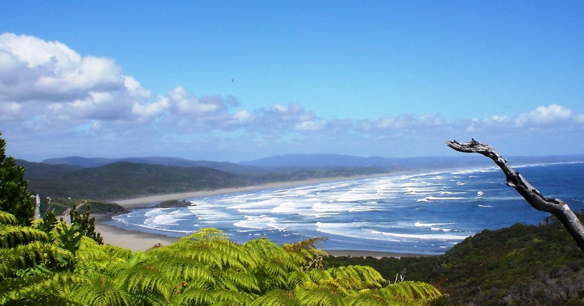 PARQUE NACIONAL CHILOÉ
