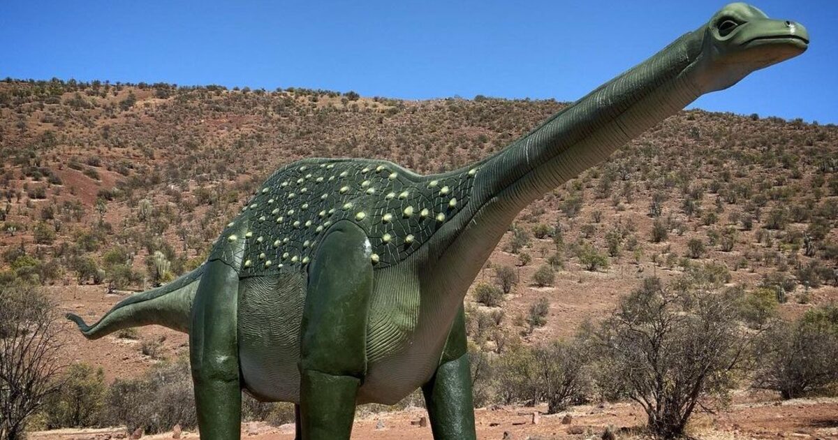 MONUMENTO NATURAL PICHASCA