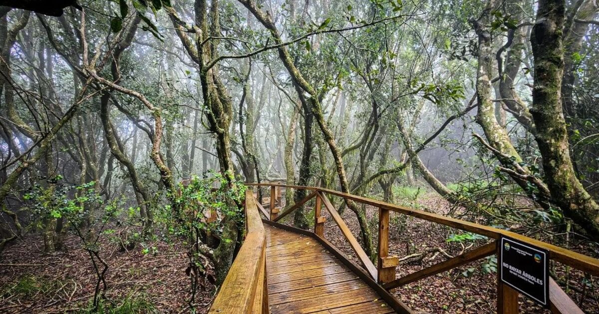 PARQUE NACIONAL BOSQUE FRAY JORGE