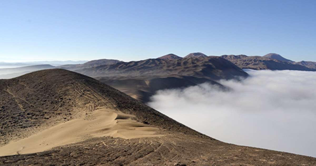El universo oculto del desierto