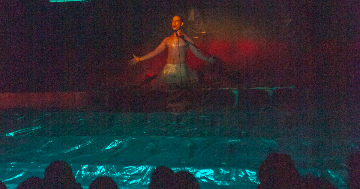 "La Gaviota" de La Disvariada