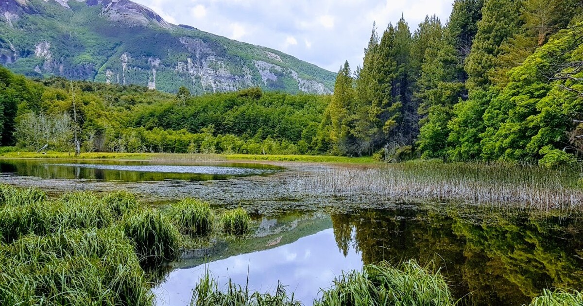 RESERVA NACIONAL COYHAIQUE