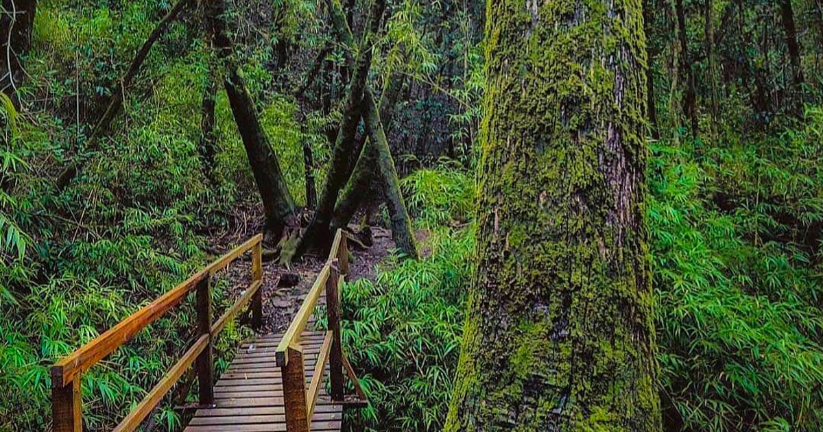 PARQUE NACIONAL NONGUÉN