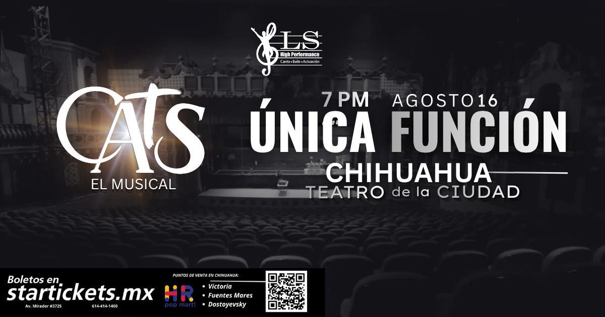 CUU - CATS EL MUSICAL