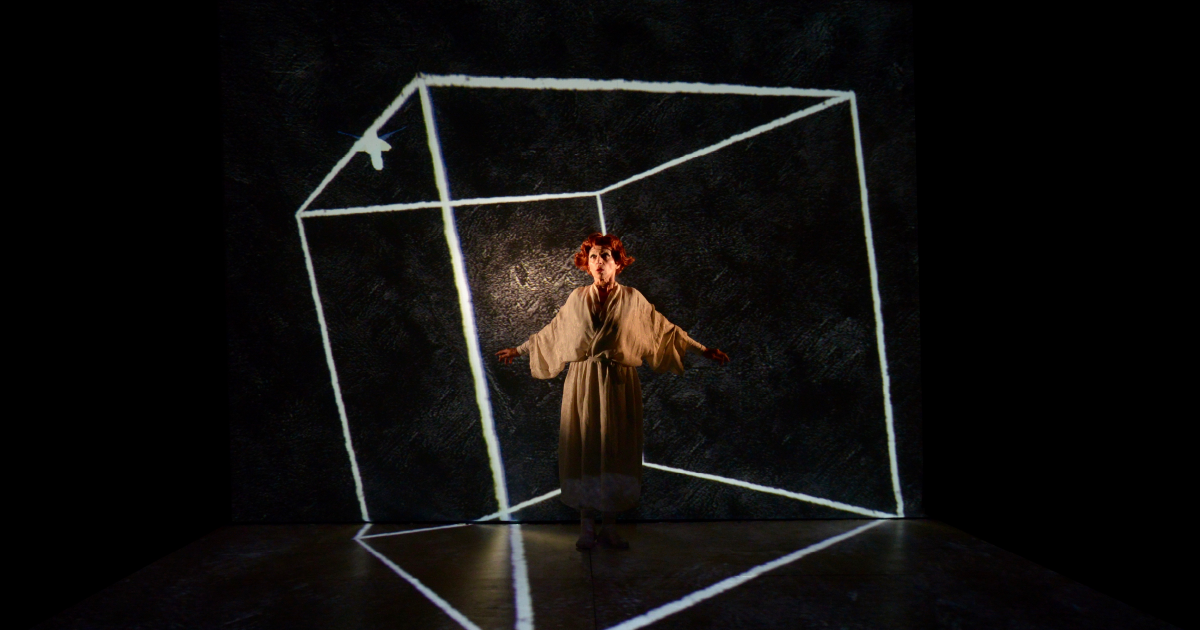Rosa Digital-Teatrocinema