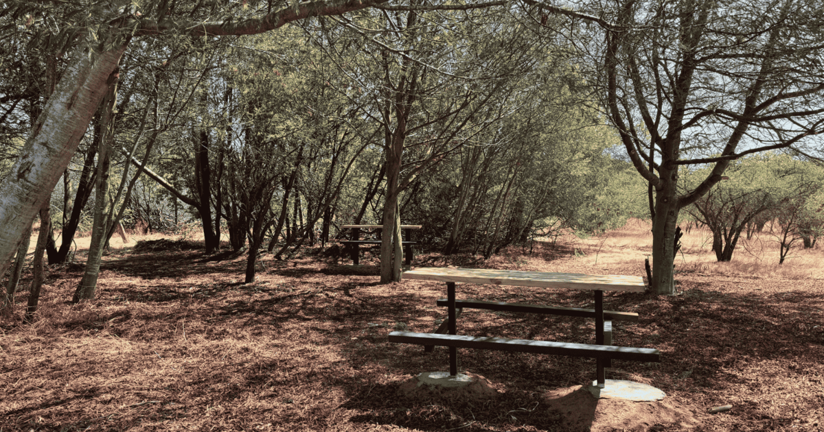Reserva Nacional Lago Peñuelas - Sendero Los Coipos 
