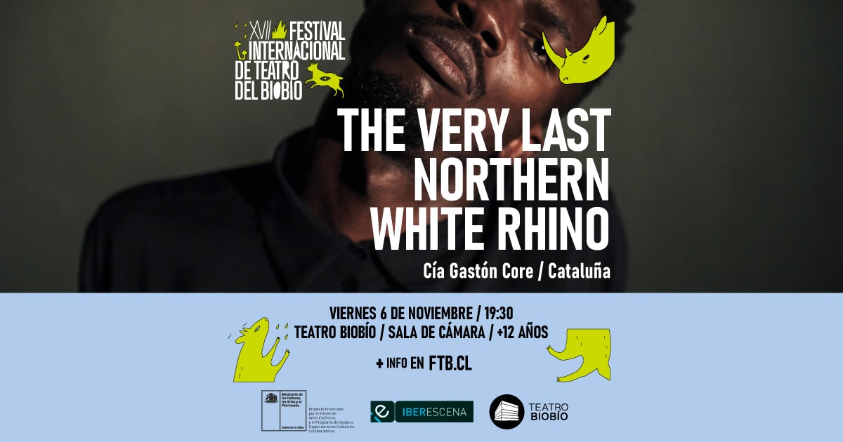 The very last northern rhino: Festival Internacional de Teatro del Biobío