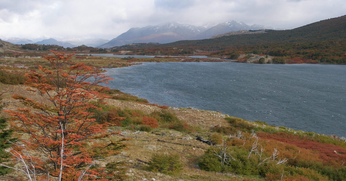RESERVA NACIONAL LAGO CARLOTA