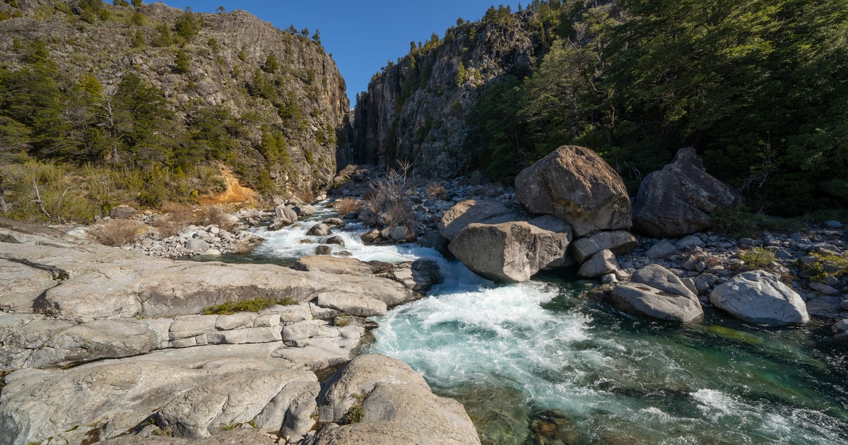 Reserva Nacional Ñuble