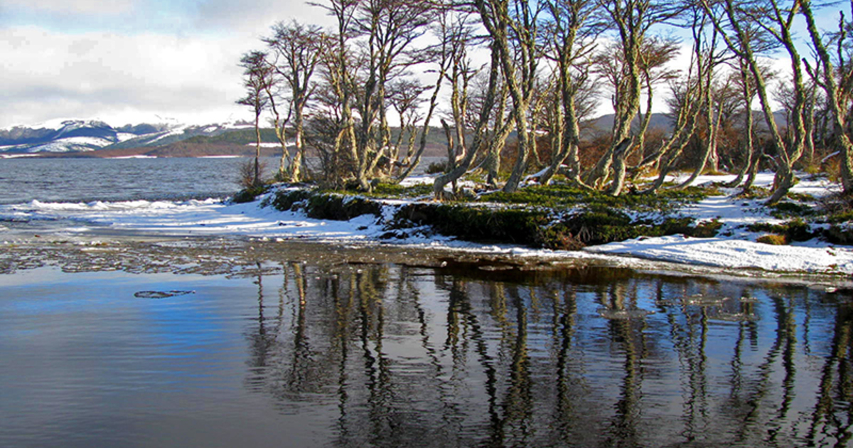RESERVA NACIONAL LAGUNA PARRILLAR
