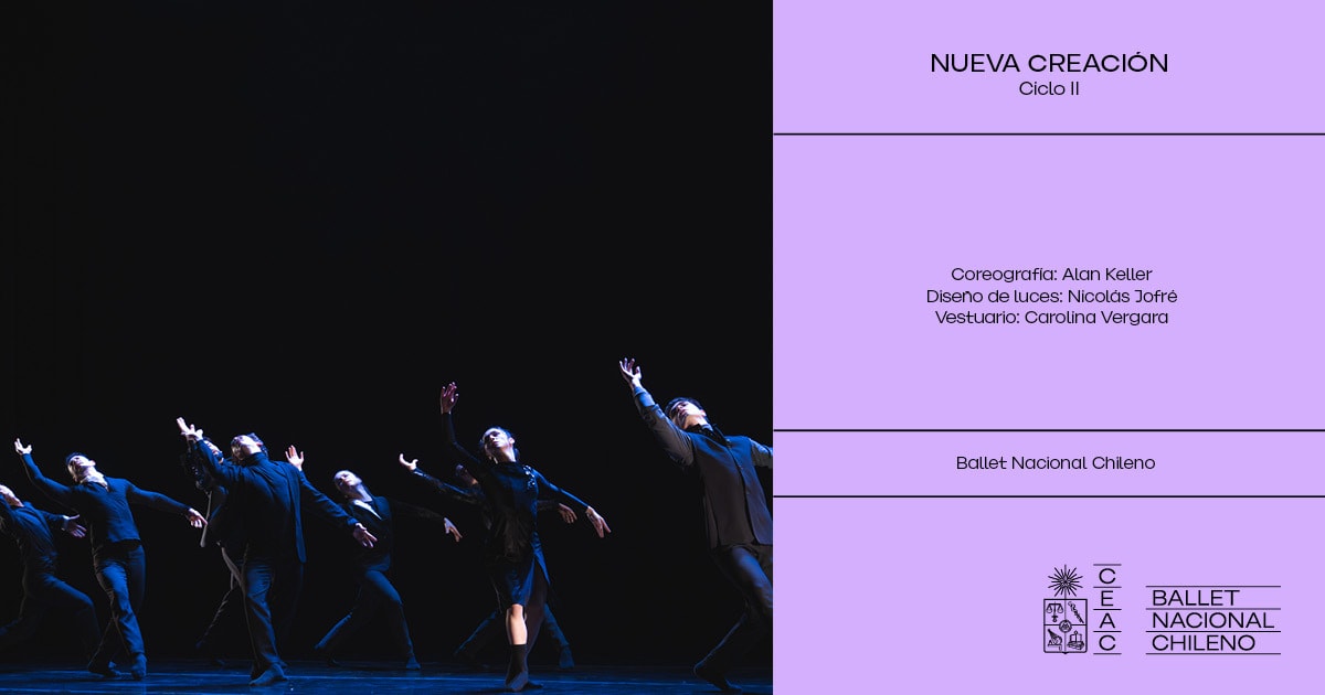 Ciclo N°2 - Nueva creación