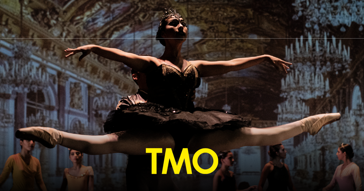 Las 4 estaciones de Vivaldi y clásicos del ballet