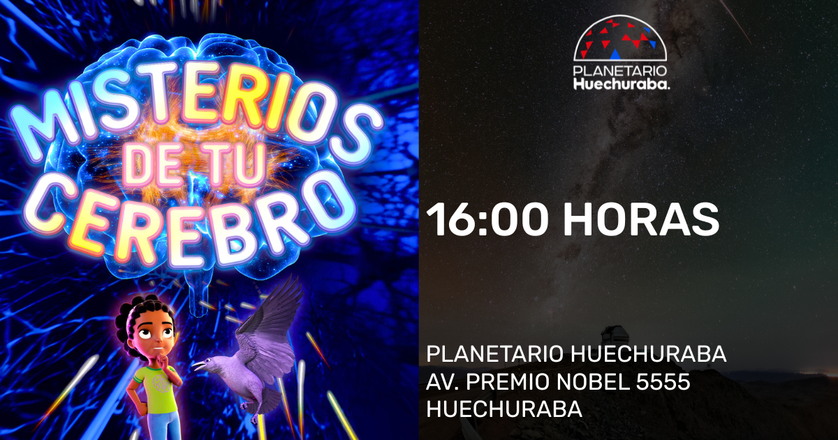  MISTERIOS DE TU CEREBRO