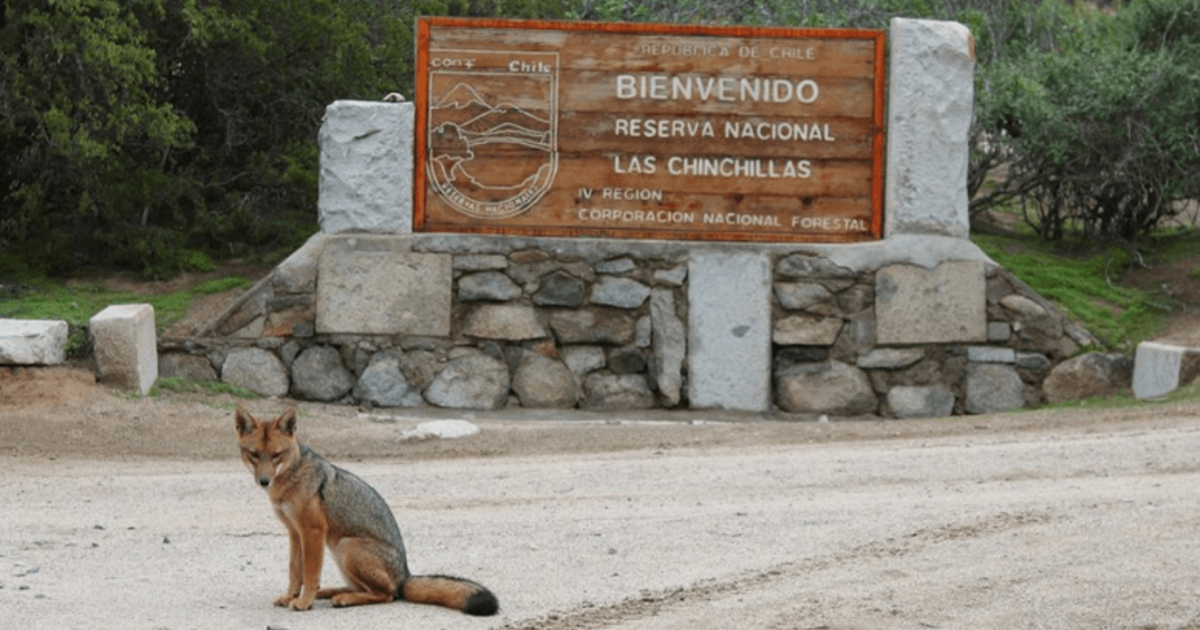RESERVA NACIONAL LAS CHINCHILLAS