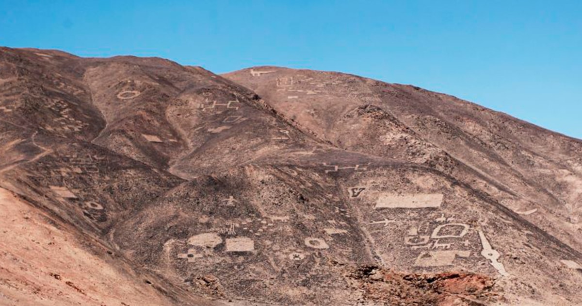 RESERVA NACIONAL PAMPA DEL TAMARUGAL