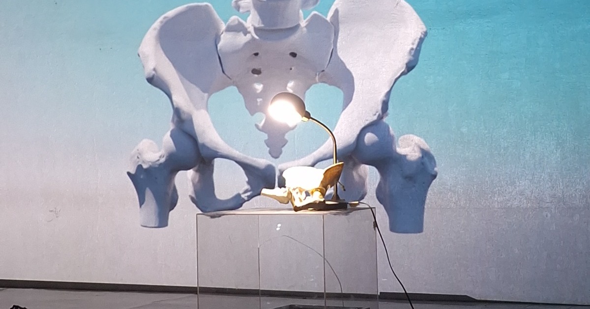 HUMANA, anatomía imaginada