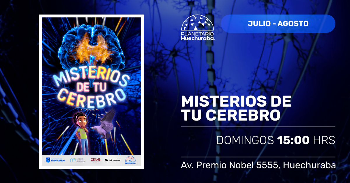  MISTERIOS DE TU CEREBRO