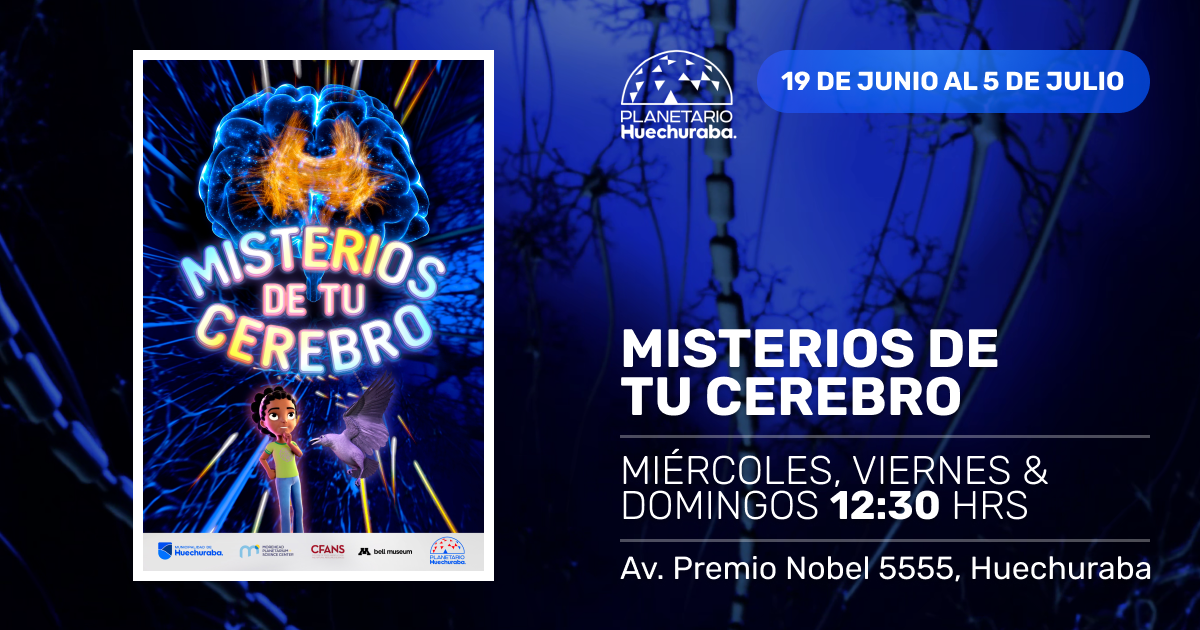  MISTERIOS DE TU CEREBRO