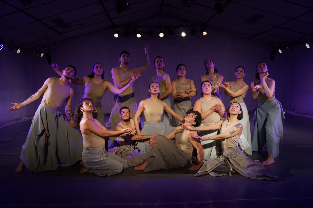 CONCIERTO DANZADO: ECOS