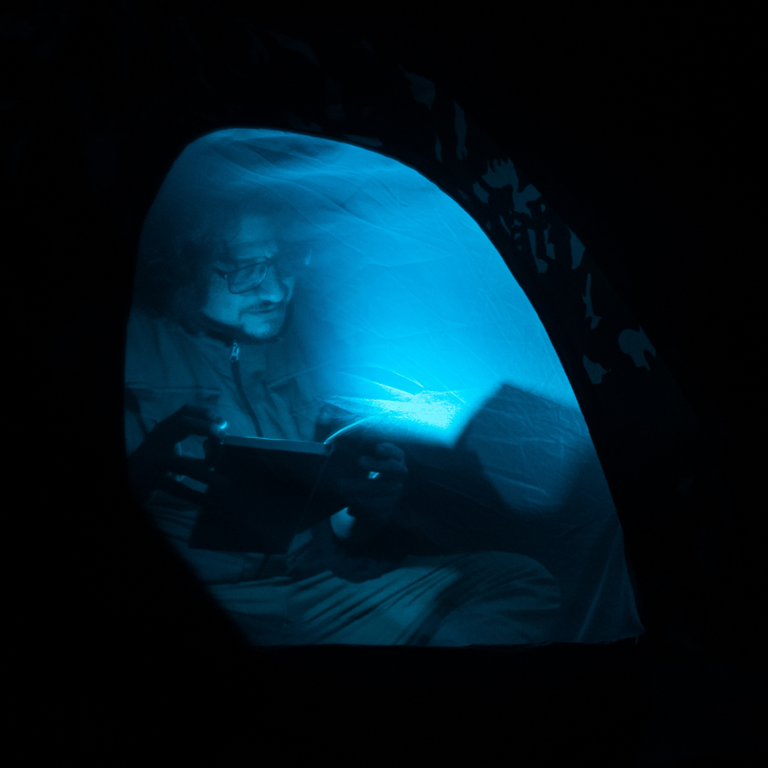 Contemplar a la manada