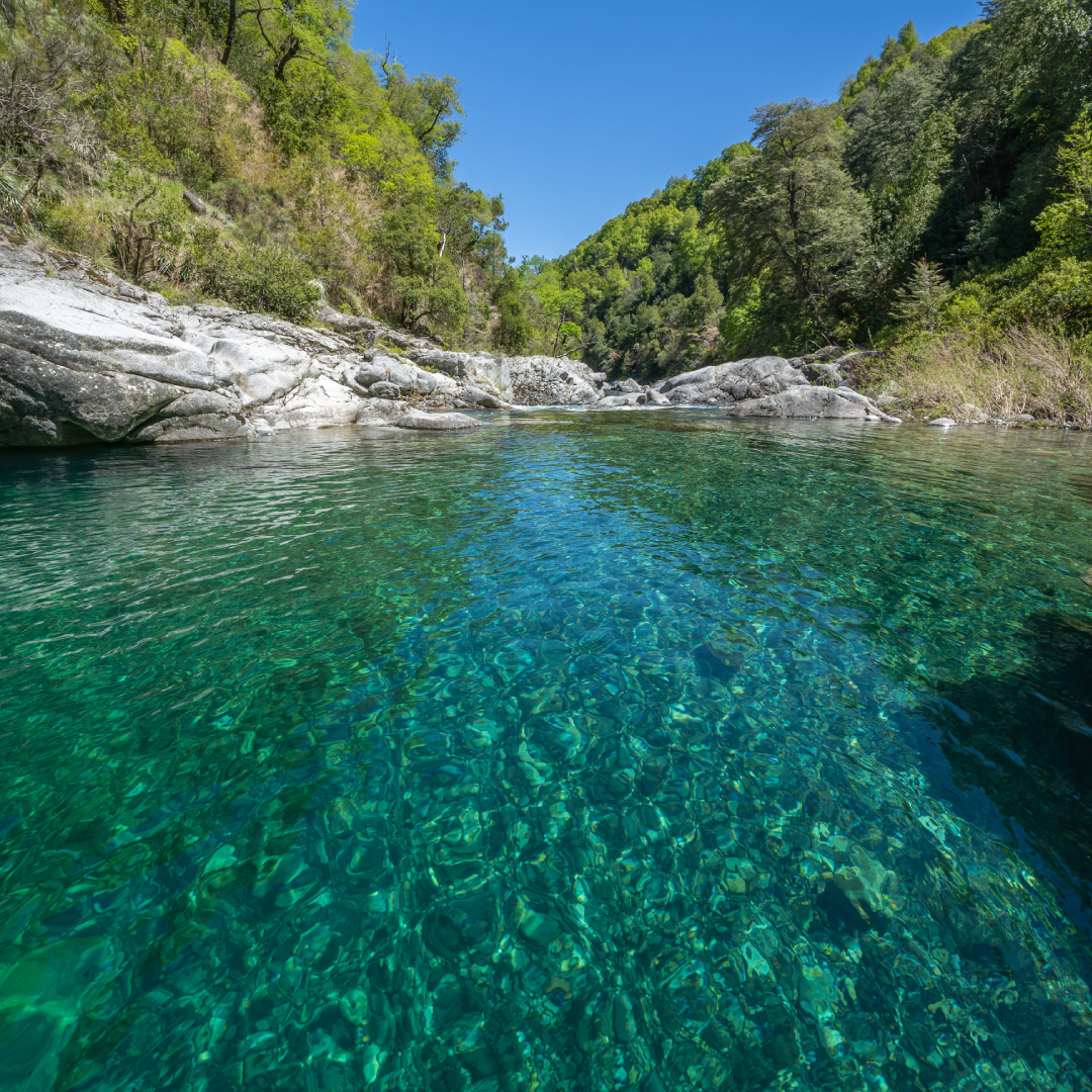 Reserva Nacional Huemules de Niblinto