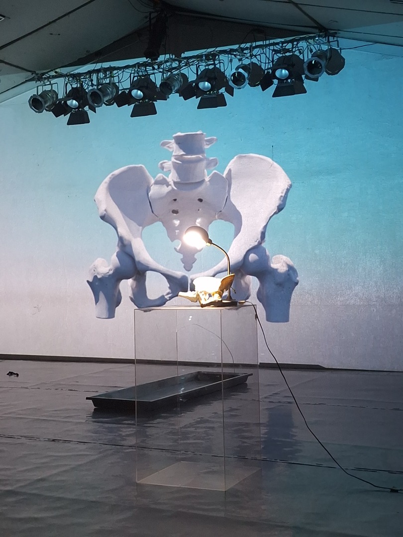 HUMANA, anatomía imaginada