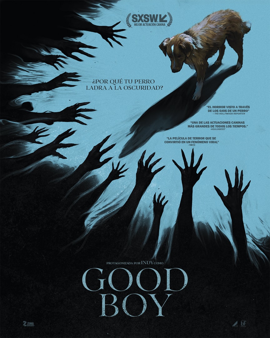 Good boy