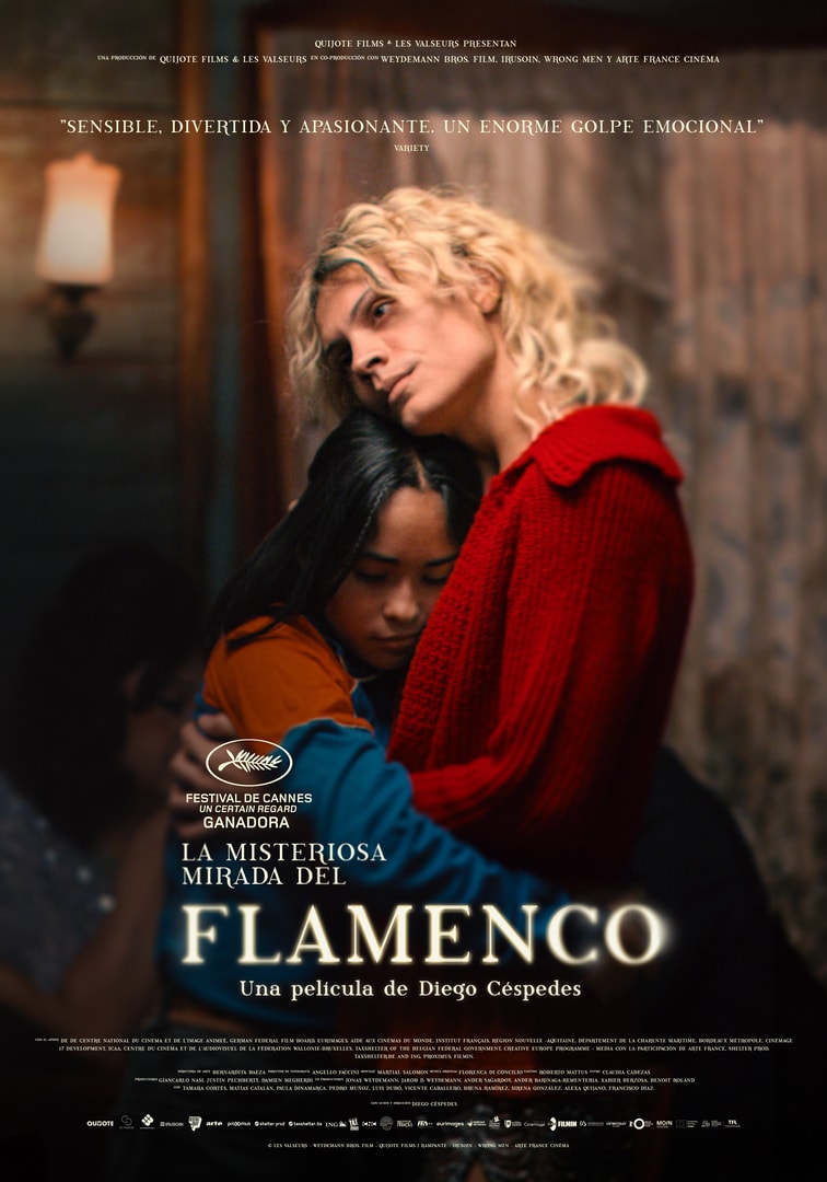 La misteriosa mirada del flamenco
