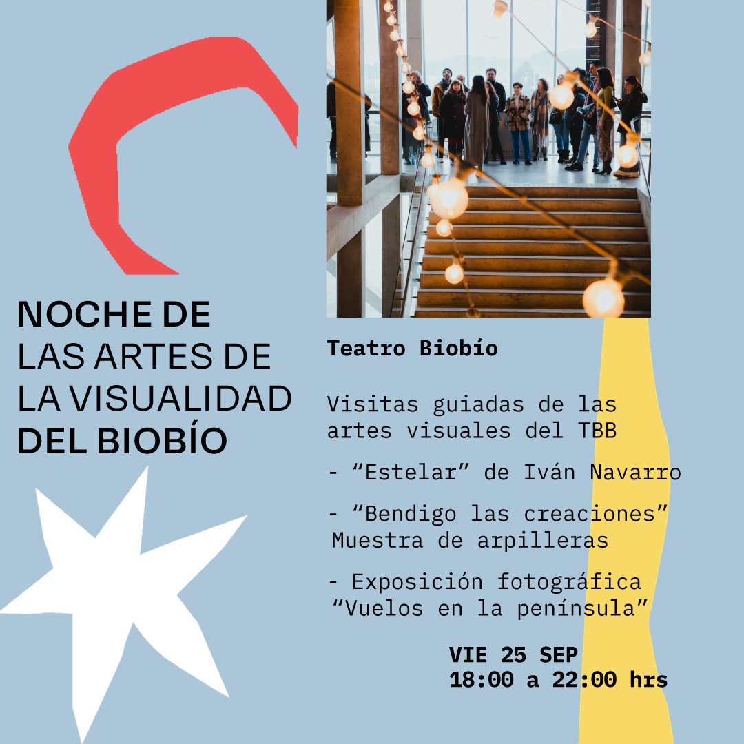 Noche de las artes de la visualidad - Teatro Biobío