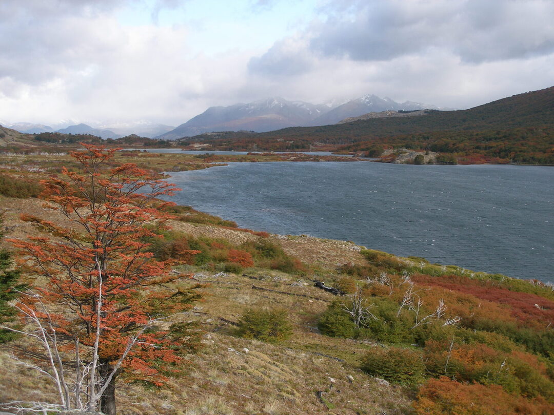 RESERVA NACIONAL LAGO CARLOTA