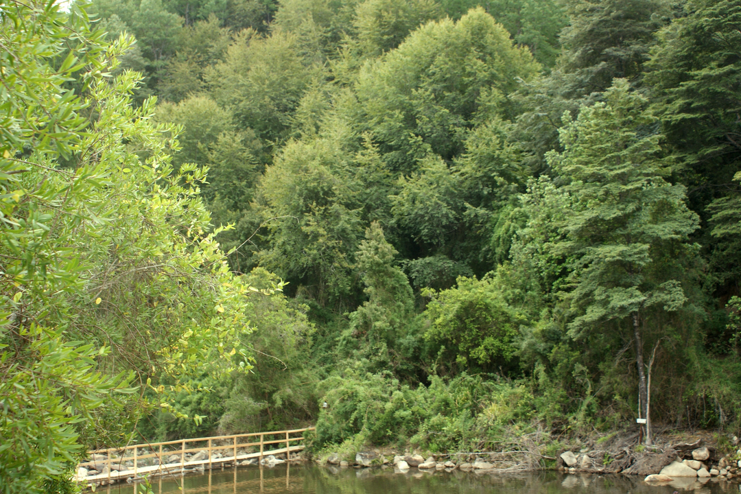 RESERVA NACIONAL LOS RUILES