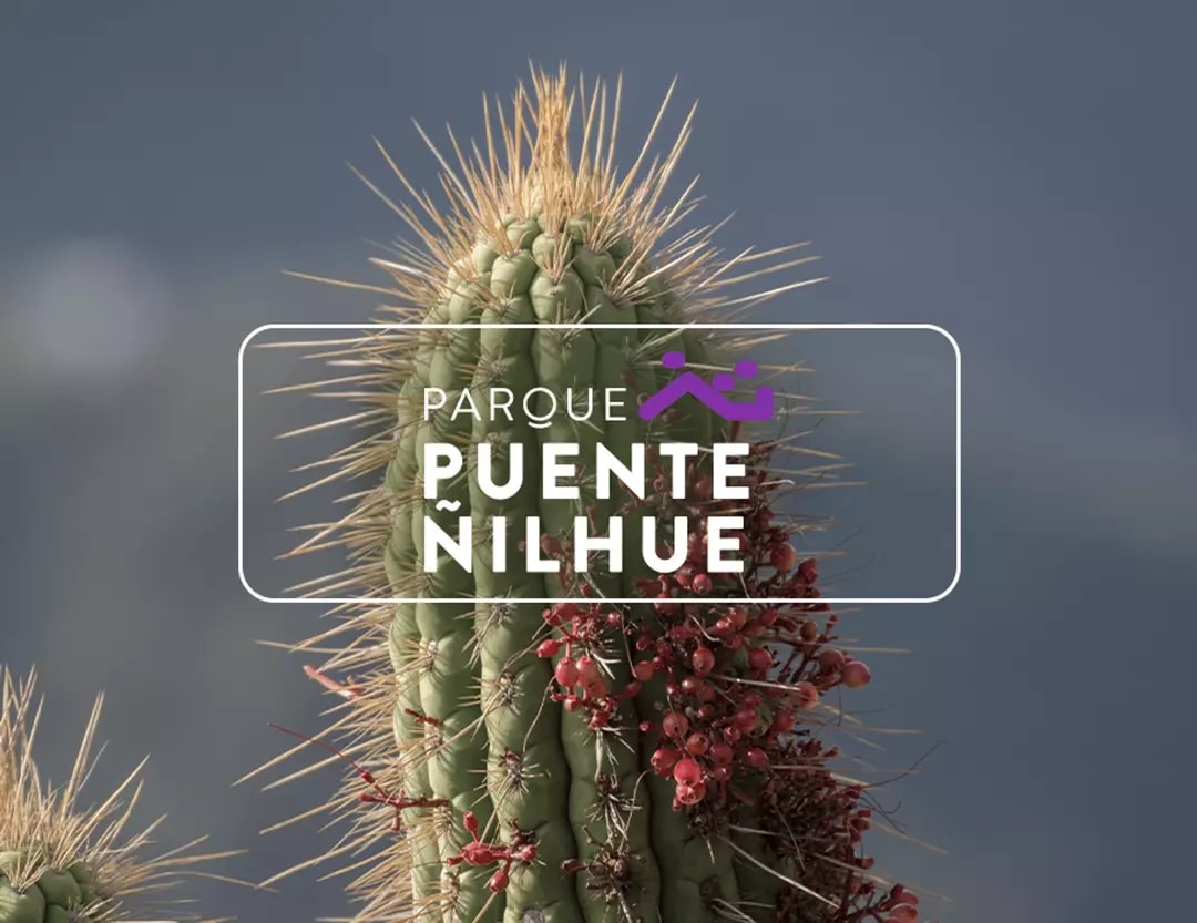 Parque Puente Ñilhue