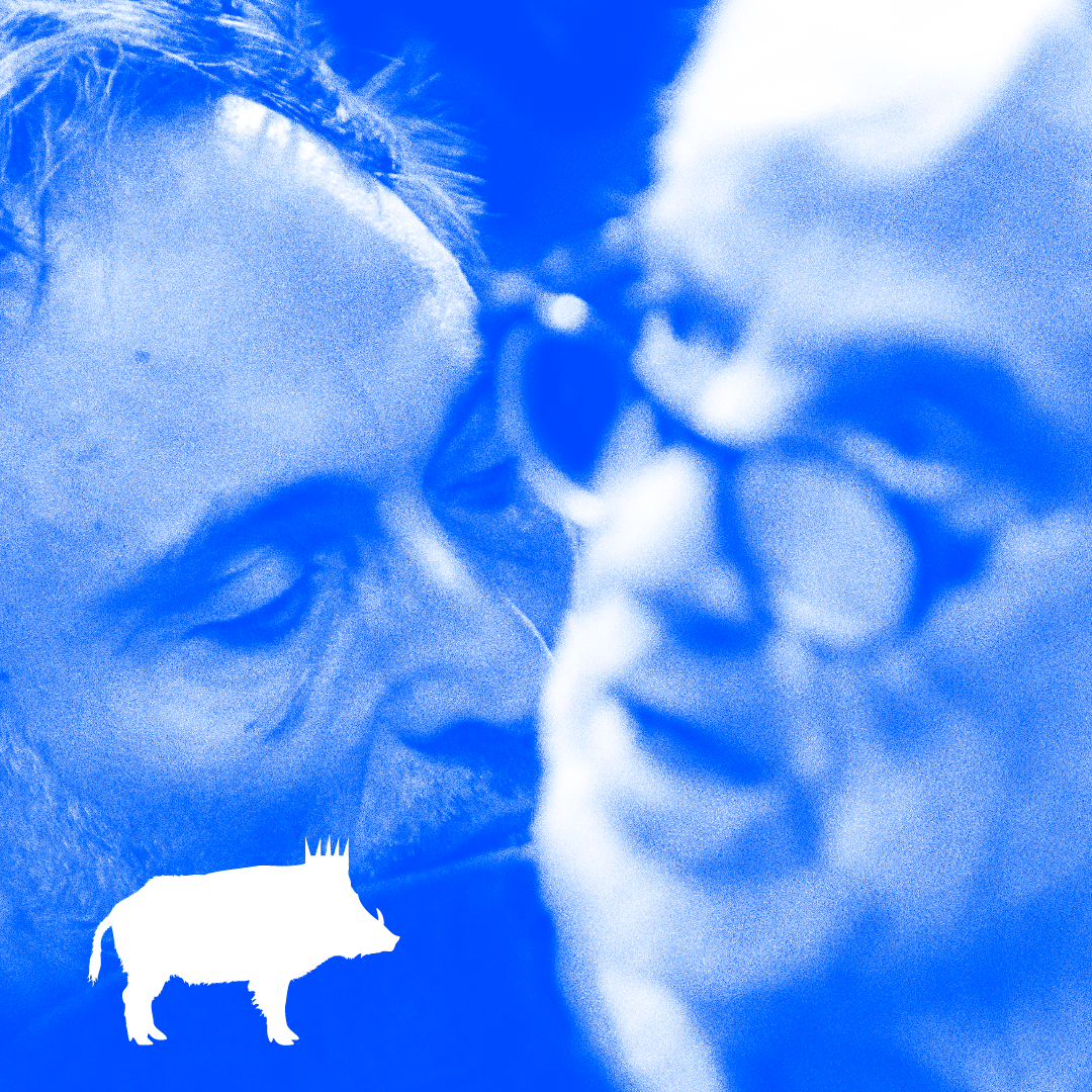 HISTORIA DE UN JABALI